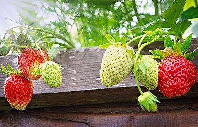 《赛博朋克2077》4K高清面部和身体Mod 毛孔清晰可见